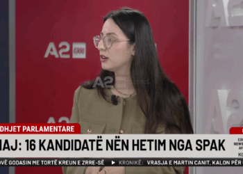 Zgjedhjet e Majit/ Cilat janë kandidatët që po hetohen nga SPAK